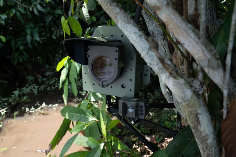 A surveillance camera with a large lens is mounted on a tree trunk in a dense, green jungle near a muddy stream, partially concealed by leaves and branches.