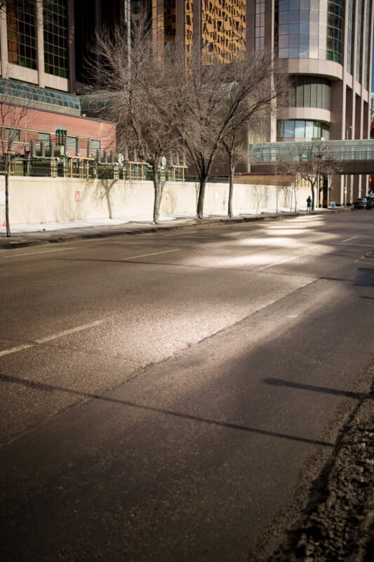 A city street with wet pavement reflecting sunlight. Leafless trees line the sidewalk with tall buildings in the background. A person walks in the distance. The scene suggests early spring or late autumn.