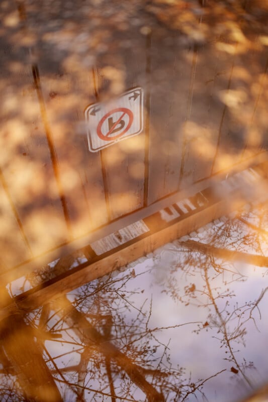A reflective puddle on the ground shows a wooden surface with an obscured sign, surrounded by bare branches. The scene is illuminated by warm sunlight and scattered fallen leaves.