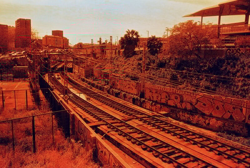 Railroad tracks with graffiti-covered walls in an urban area, surrounded by overgrown grass and trees. Buildings and a bridge are visible in the background. The image has a warm, orange tint, giving it a vintage feel.