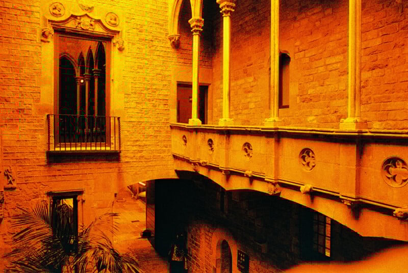 A warmly lit corridor with gothic architecture features arched windows and a stone railing. The brick walls and archways create a historic ambiance. A small plant can be seen in the lower left corner.